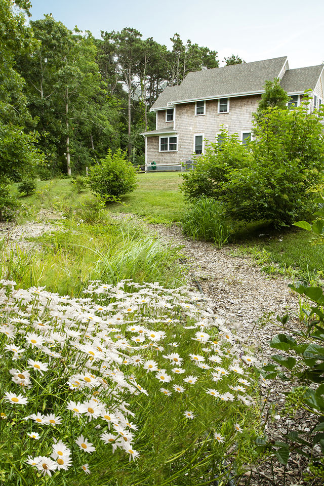 Brewster Landing Bioretention Basin