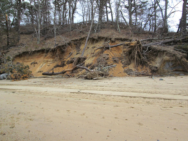 Loss Of Fill And Vegetation