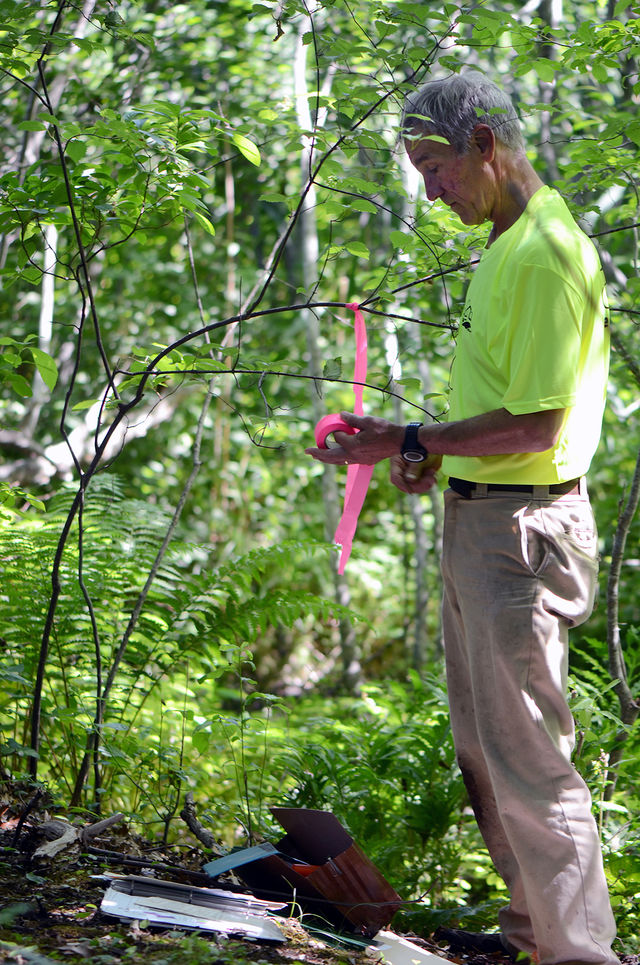 Edge Of Wetland Flagging