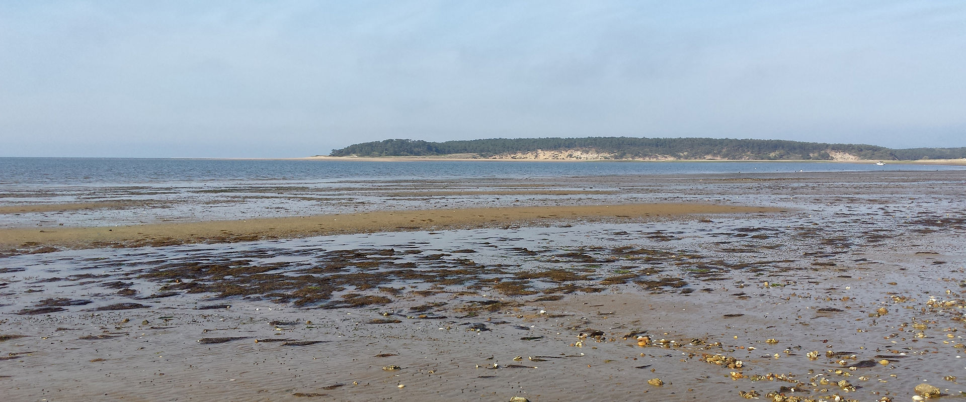 Aquaculture Permits Hero